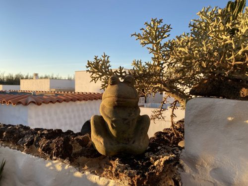 Gartenschmuck-1