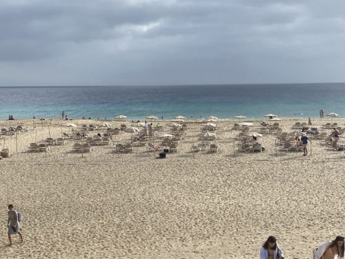 Strand-1